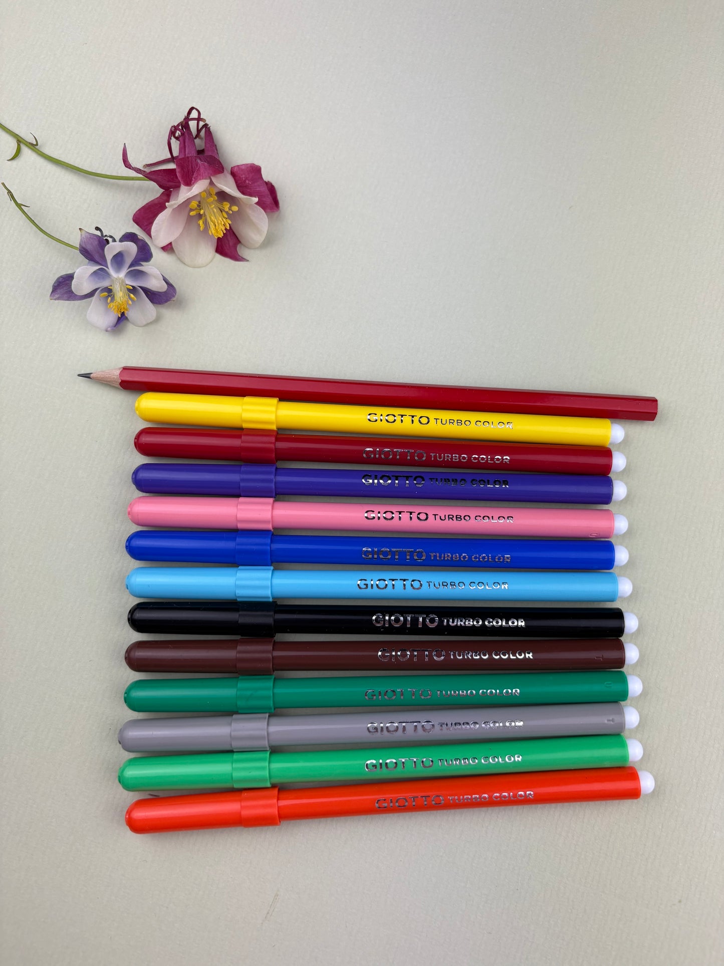 Set of Giotto colorful markers on a light gray background with flowers.