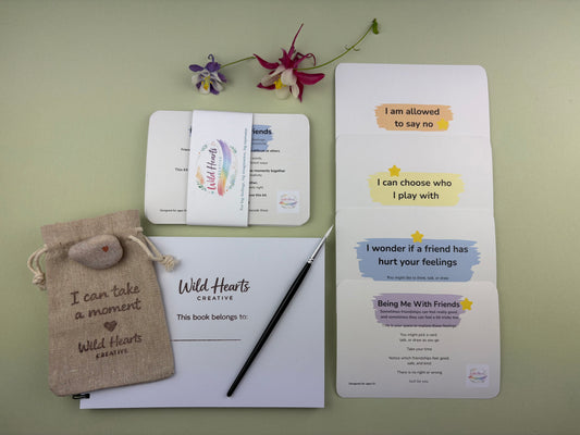 Flat lay of the Being Me With Friends creative support kit for children, featuring prompt cards, comfort stones, creative resources and comfort items designed to support emotional wellbeing.