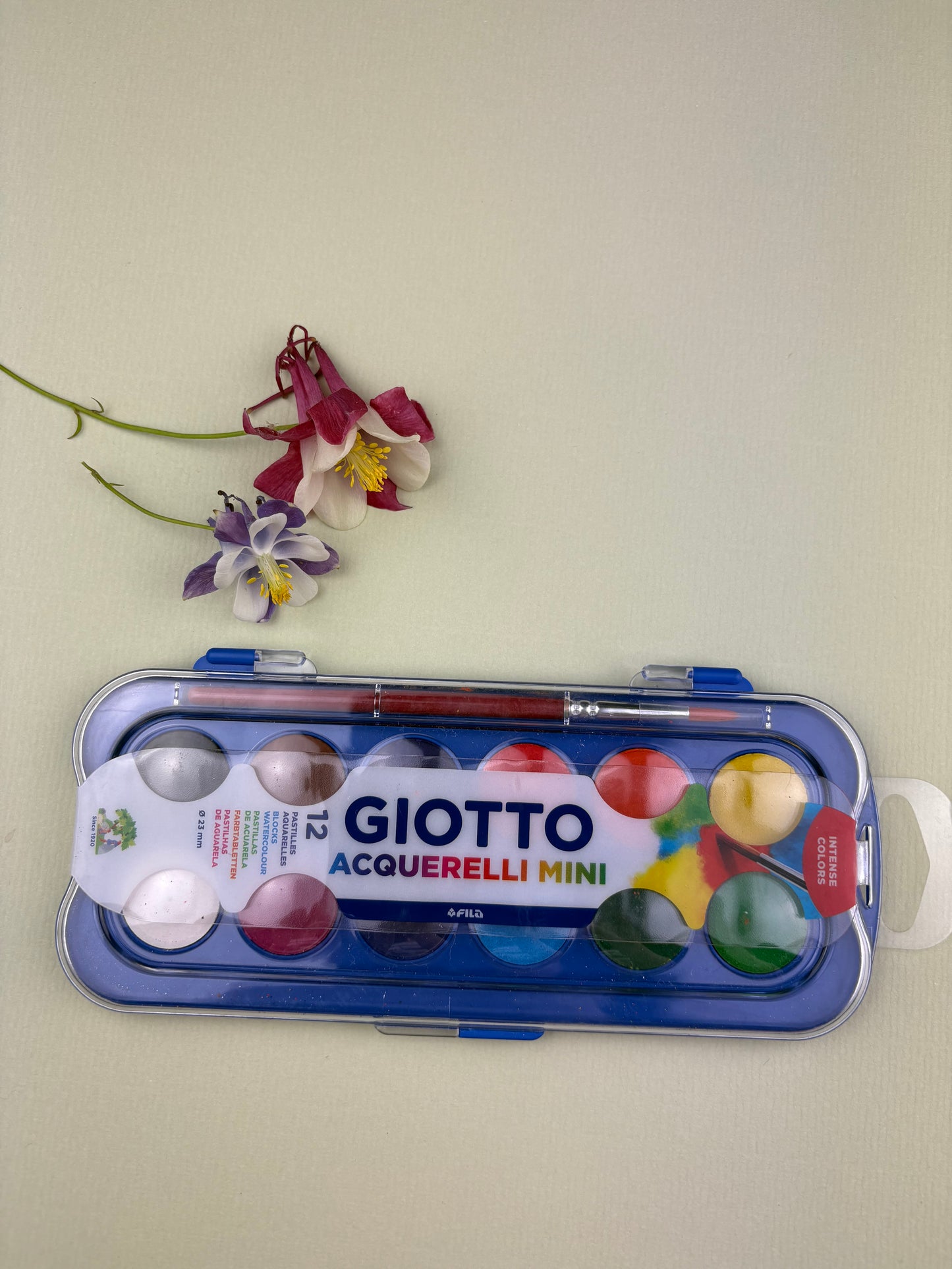 Giotto Acquerelli Mini watercolor set with a flower on a light background