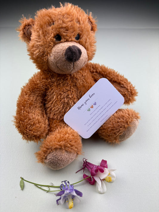 Soft teddy bear with a reassurance card, designed to provide comfort and emotional support for children during difficult moments.