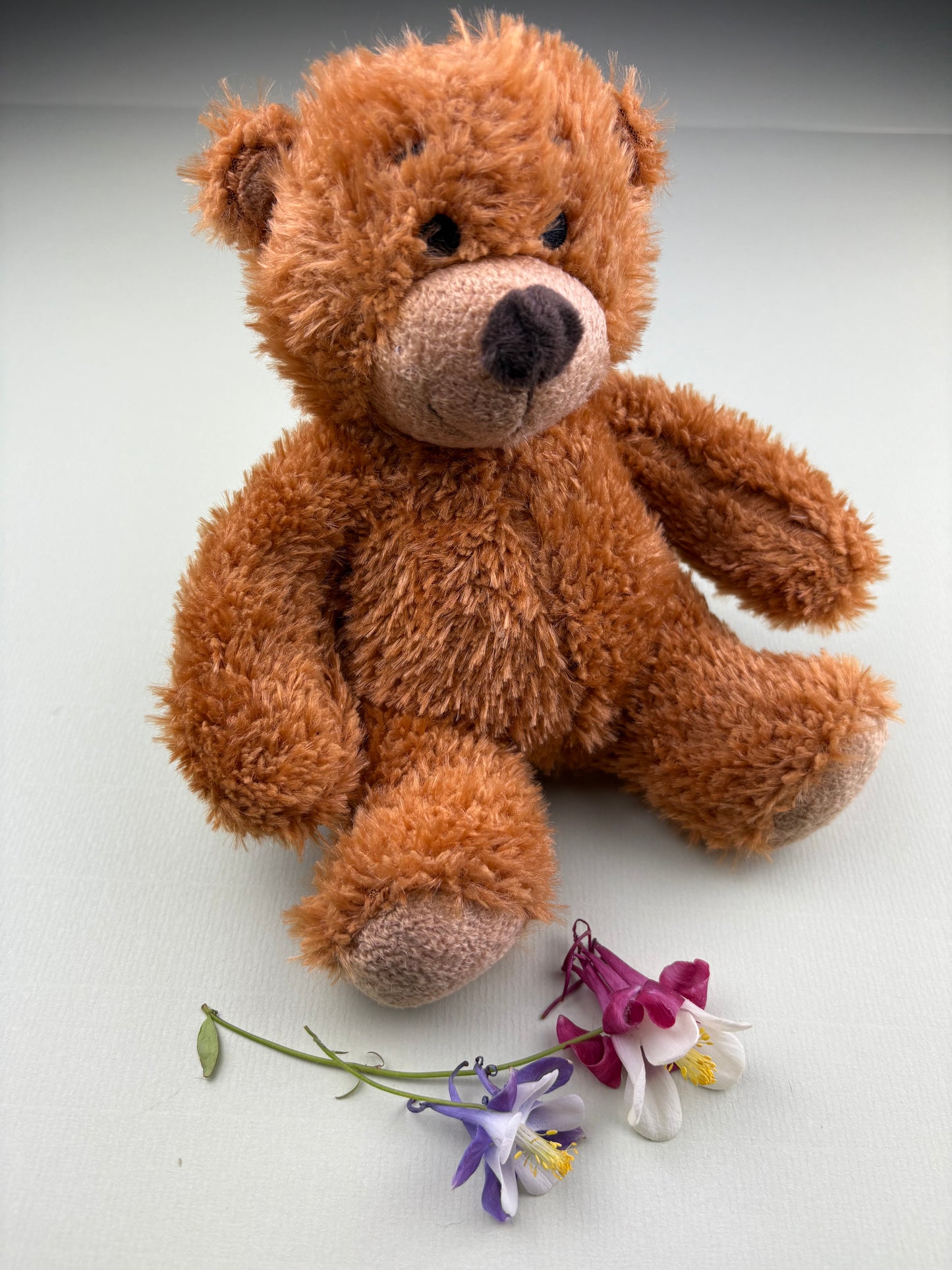 Soft teddy bear designed to provide comfort and emotional support for children during sad, anxious, scary, brave moments.