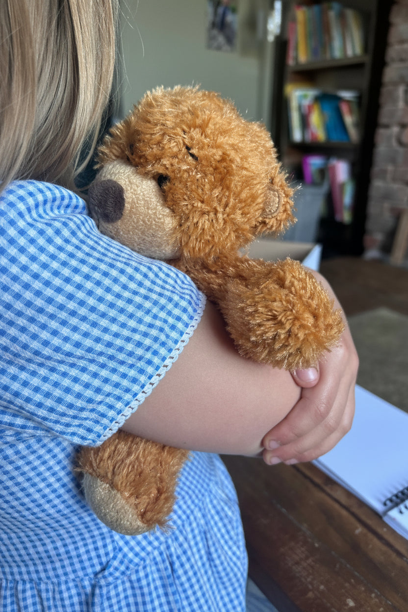 Comfort Teddy, Support bear, anxiety bear, children's support teddy in use to process big feelings