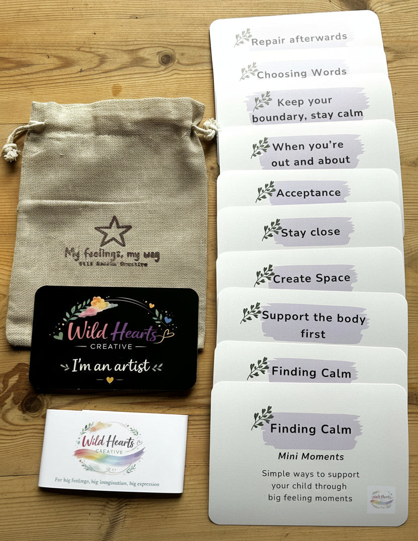 Supporting Children's Emotional Support Kit, helping parents, carers, and teachers to regulate children, use the correct language, hold boundaries and maintain a close supportive and gentle relationship with children who may be struggling to regulate, have meltdowns, run off, be lashing out, need sensory processing support, shops, over stimulating environments